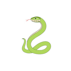 Cute green snake isolated on a white background. Symbol of the New Year 2025. Vector illustration