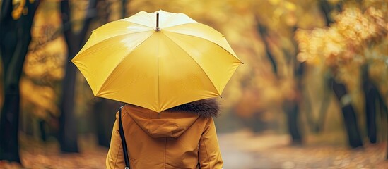 Autumnal park scenery featuring a woman seen from behind holding a yellow umbrella Ideal for adding text with copy space image