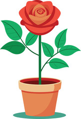  Flat vector Rose flower with vase