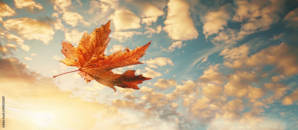 Aufkleber autumnal atmosphere with a sunlit sky showing a solitary dry maple leaf drifting in the air offering