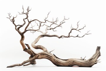 Dead tree driftwood white background tranquility.