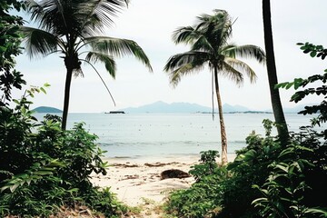 Fototapeta premium Tropical Beach Paradise with Palm Trees and Clear Ocean Water