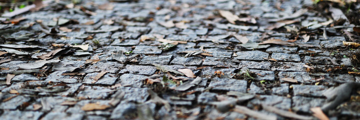 A close up of a path with leaves and debris on it. The leaves are scattered all over the ground, and the path is made of stone. Scene is somewhat somber, as the leaves
