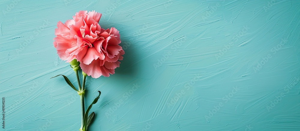 Aufkleber top down view of a lovely pink carnation flower on a bright blue table with copy space image represe