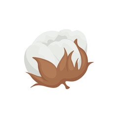 Cotton. A white cotton box. Cotton wool. The ripe fruit of a cotton plant. Vector illustration isolated on a white background.
