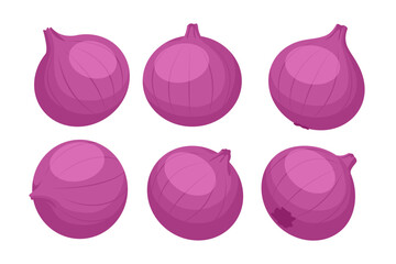 Isometric red whole onion, isolated on a white background. Ripe fresh garden plant