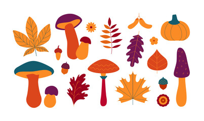 Autumn leaves, mushrooms, acorns, flowers, pumpkin. Colorful fall doodles and stickers. Golden cozy season. Forest. Vector isolated on white.
