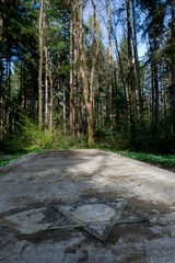 A neglected Jewish cemetery in a spring forest.