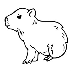 Capybara isolated on white background. Guinea pig outline. Vector illustration. Graphic, doodle..