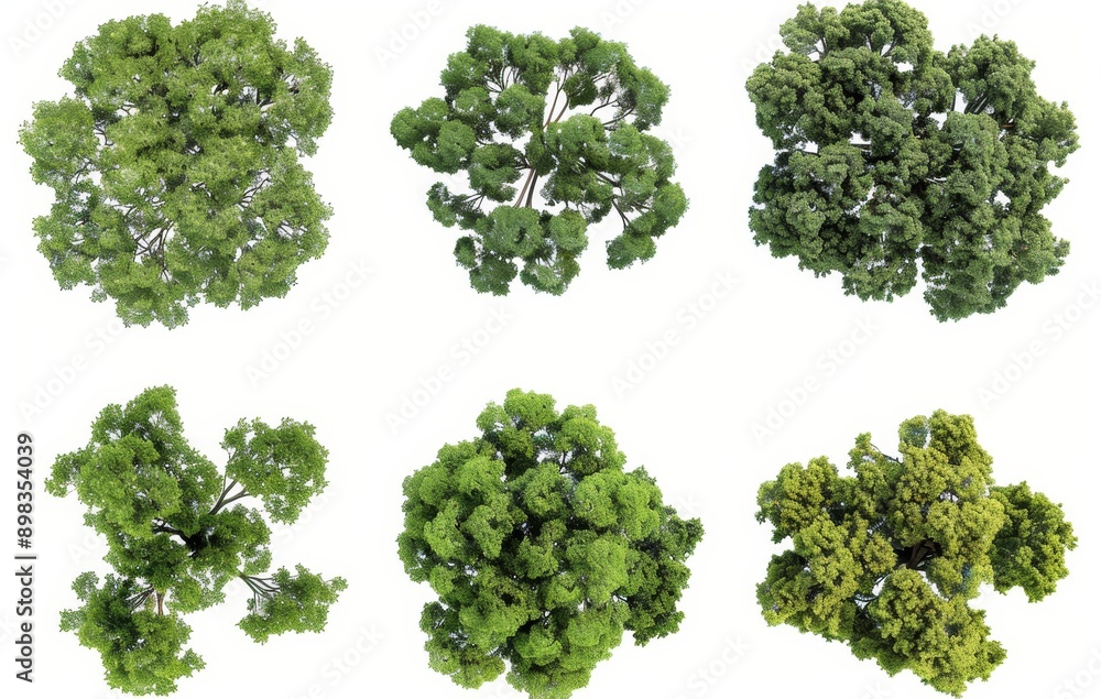 Poster detailed top view of trees with landscaping 3d render in png format