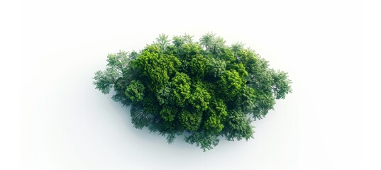 Fototapeta premium An aerial view of jungle lush trees on a transparent 3D rendering