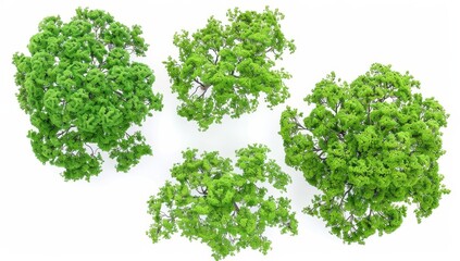 Fototapeta premium Aerial view of greenery forests trees canopy set on a transparent background for 3D rendering