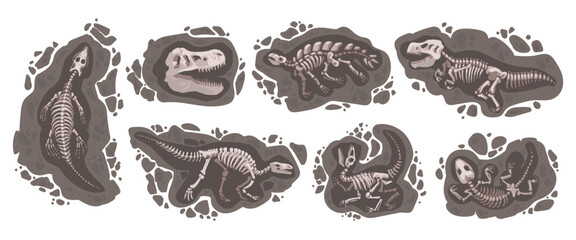 Dig dinosaur. Archeology stone. Dino skeleton. Cartoon education about animal. Earth digging. Tyrannosaurus skull. Ground excavation. Geology research. Old rock. Vector paleontological elements set © Natalia