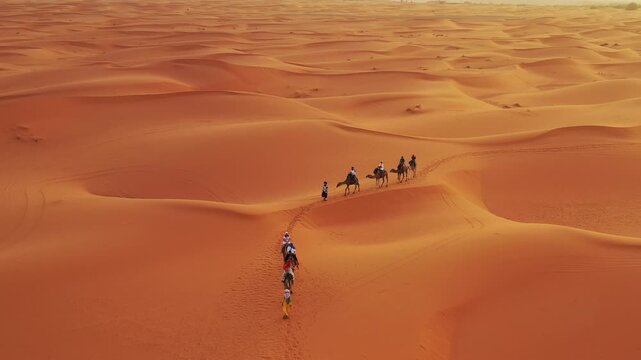 aerial shoot for Camel caravan in the Sahara desert