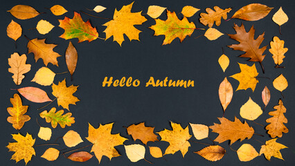 Hello Autumn. Greeting card. Rectangular frame of beautiful autumn yellow and brown maple, oak and...