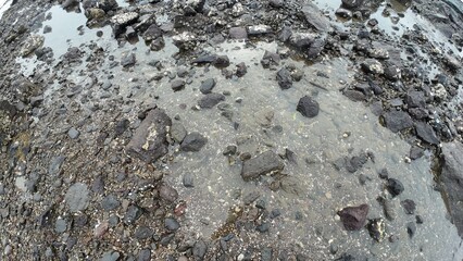 A scenic view of a rocky shore featuring small rocks, with water lapping against the landscape.