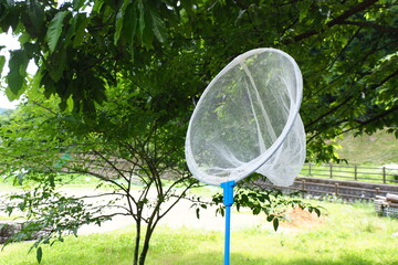 自然公園で虫取り網 © nowa