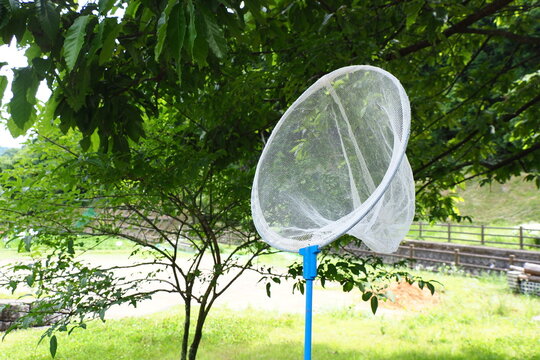 自然公園で虫取り網
