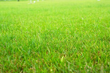 グランドゴルフ場