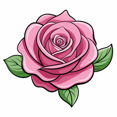 Pink color rose flower vector illustration 