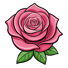 Pink color rose flower vector illustration 