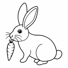 rabbit  Vector