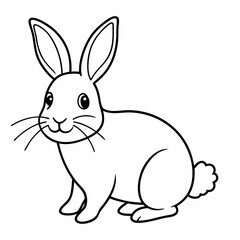 rabbit  Vector