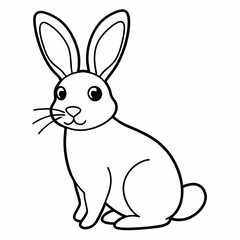 rabbit  Vector