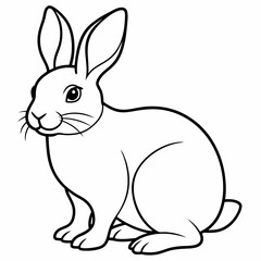 rabbit  Vector