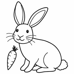 rabbit  Vector