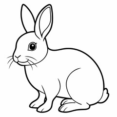 rabbit  Vector