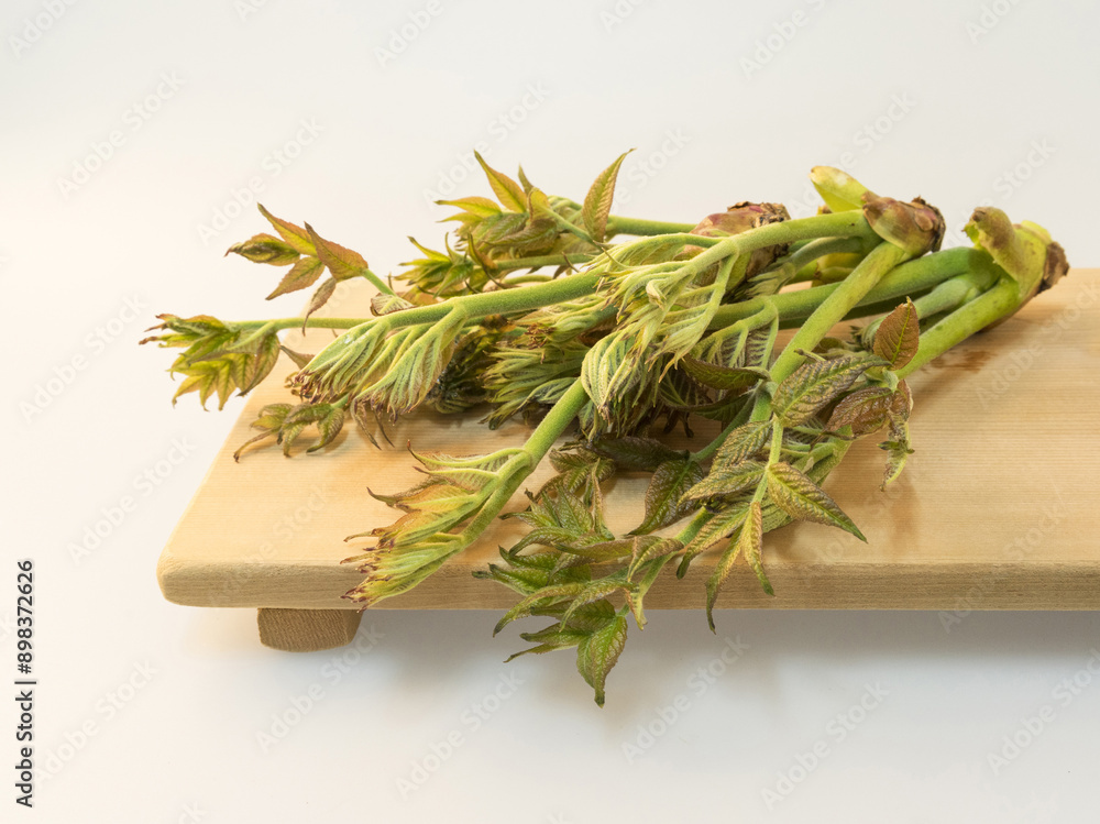 Poster Close-up of raw fatsia leaves and stems on wood cutting board, South Korea
