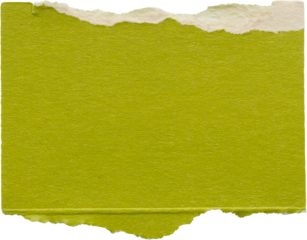 piece of green paper tear isolated on white background