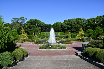 Obraz premium 京都府立植物園の噴水