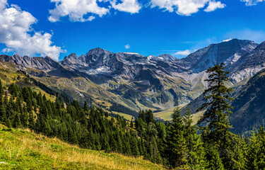 Fototapeta premium landscape in the mountains