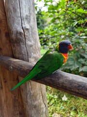 Vogelpark Marlow