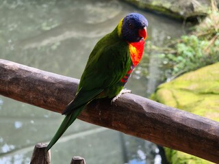 Vogelpark Marlow