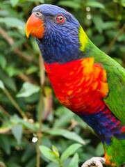 Vogelpark Marlow