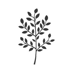 Silhouette of a Branch with Many Leaves