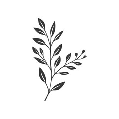 Fototapeta premium Simple Black and White Illustration of a Branch with Leaves