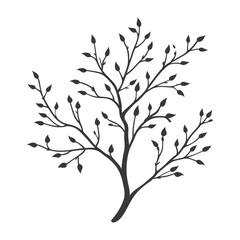Silhouette of a tree branch with leaves