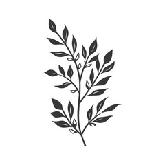 Fototapeta premium A Single Branch with Numerous Leaves in Black and White