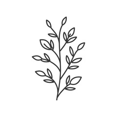 Fototapeta premium Black and White Line Drawing of a Branch with Leaves