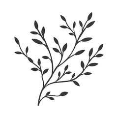 Silhouette of a Branch with Multiple Leaves and Buds