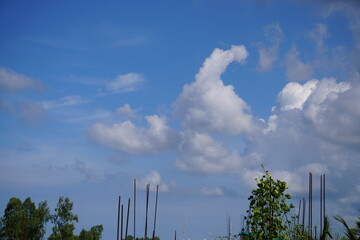 Beautiful clouds in the blue sky.