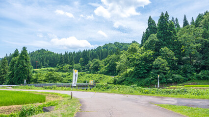まつだい「農舞台」／周辺の田園風景