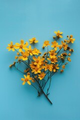 photo of yellow chrysanthemum flowers on a light blue background