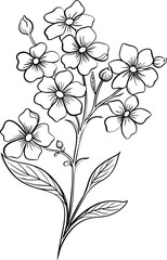 Forget me not flower lineart