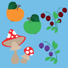 Wild berries, cranberries and blueberries. Bright mushrooms of fly agaric. Vector drawing.