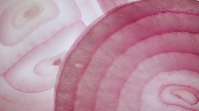 Macro shot of fresh juicy purple onion slices moving against skylight, showing flesh and circles with watery structure texture of vegetable visible under light.